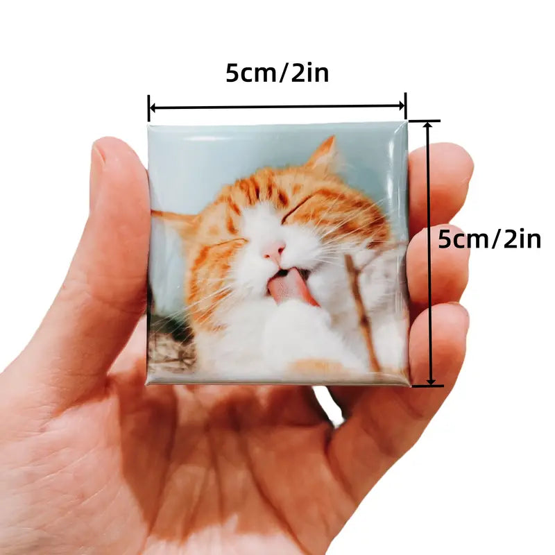 Custom Photo Magnets